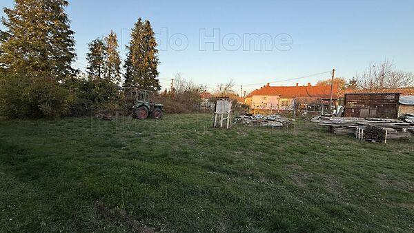 Kehidakustány képe