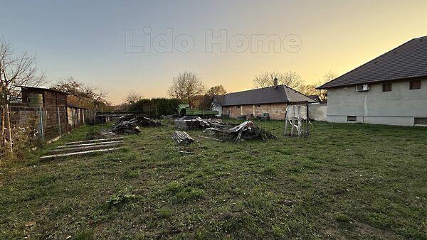 Kehidakustány képe