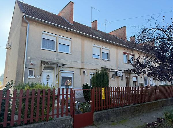 Szent István, Jánoshalma képe