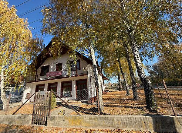 Nyárfa, Jánoshalma képe