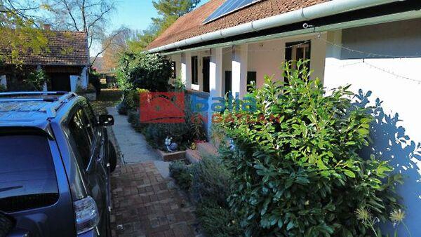 NYARALJ OTTHON, Gödöllő képe