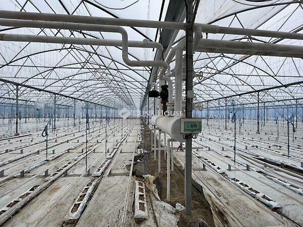 Szabadszállás képe