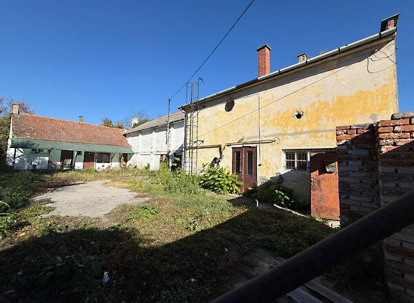 Radnóti Miklós, Jánoshalma képe