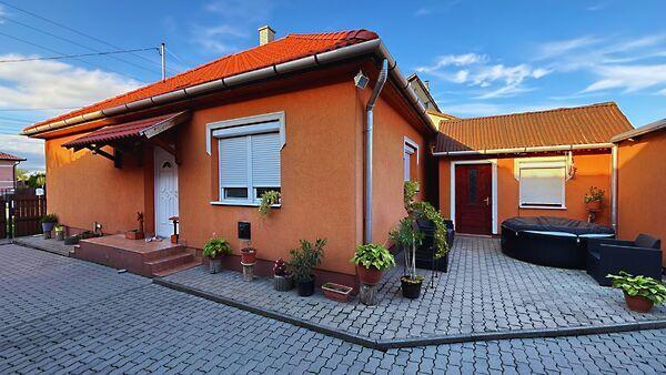 Kossuth Lajos, Hernádnémeti képe