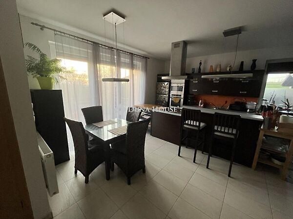 Damjanich, Maglód képe