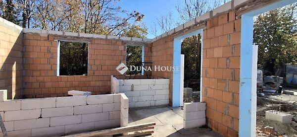 Nyár, Ráckeve képe