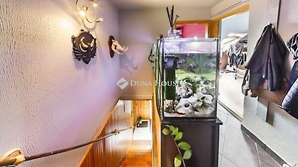 Áchim András, Fót képe