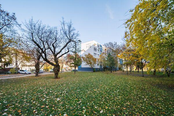 Tihany, Budapest, XIV. kerület képe