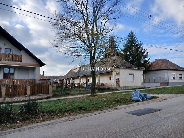 Kossuth Lajos, Mány képe