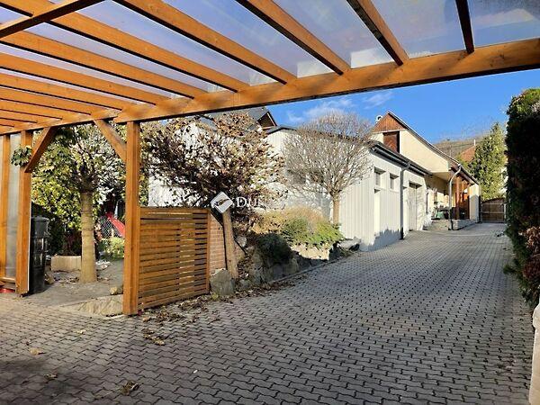 Fő, Sárisáp képe