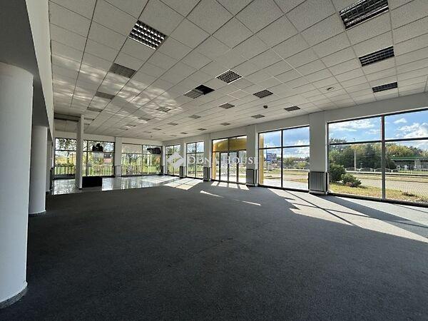 Csonka, Esztergom képe