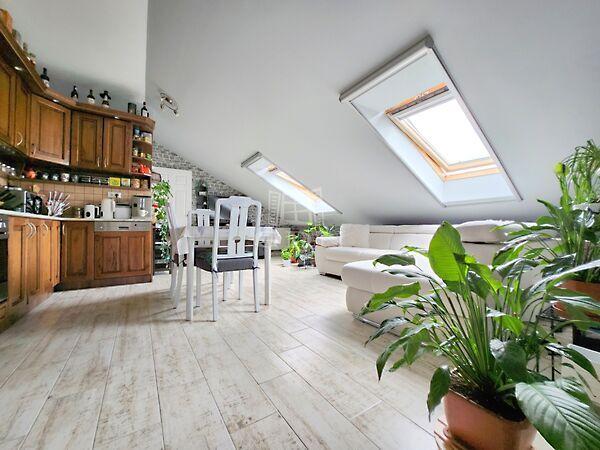 Zalaegerszeg kedvelt, Zalaegerszeg képe