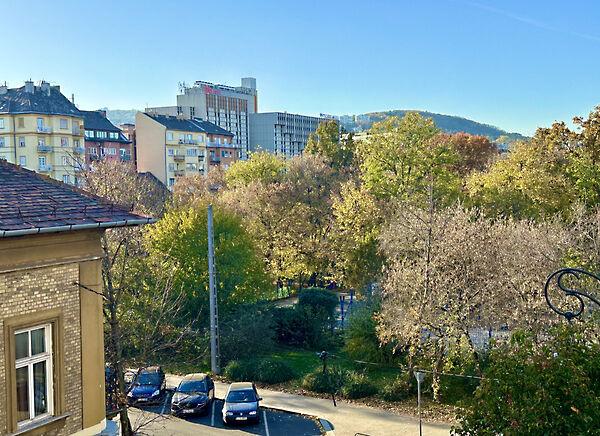 Pauler, Budapest, I. kerület képe