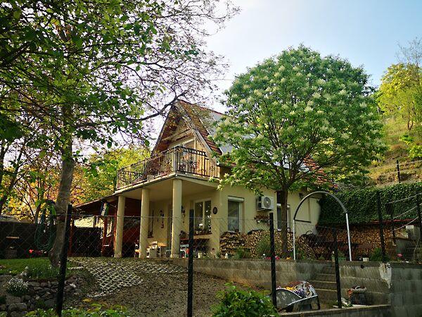 Kökörcsin, Visegrád képe