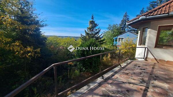 Ibolya, Piliscsaba képe