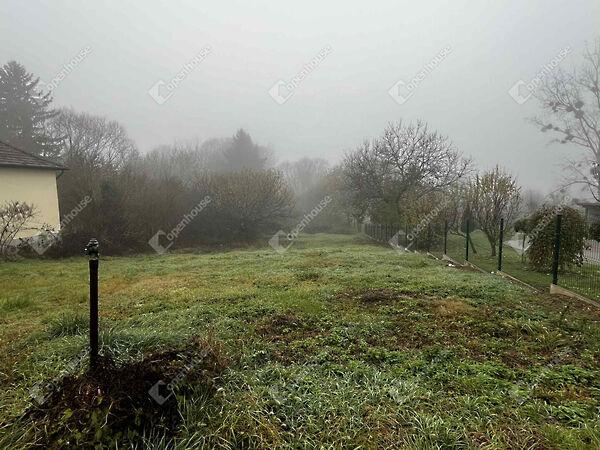 Deák Ferenc, Söjtör képe