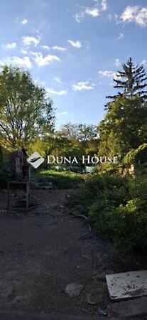 Arany János, Zengővárkony képe