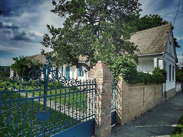 Petőfi, Véménd képe