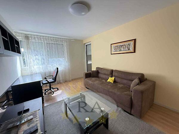 Nagy Lajos király, Debrecen képe