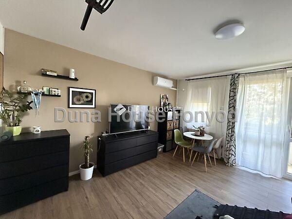 Liszt Ferenc, Pétfürdő képe