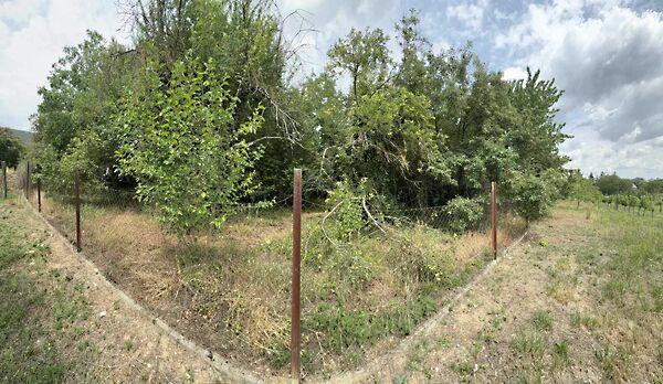 Balatonederics képe