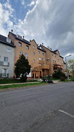 Szilágyi Erzsébet, Dunaújváros képe