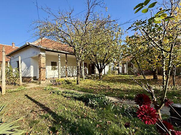 Károlyi, Békéscsaba képe