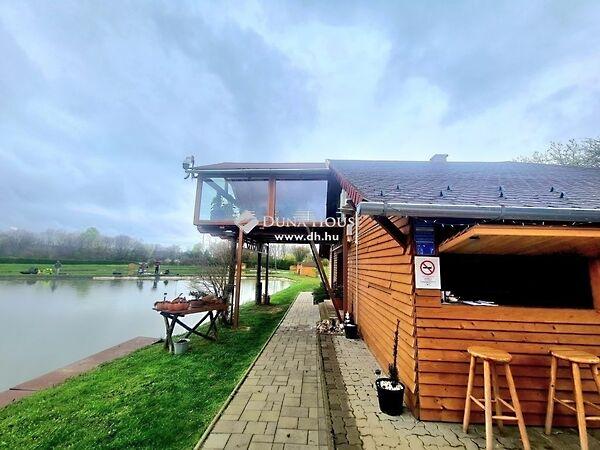 Rákóczi, Pécsvárad képe