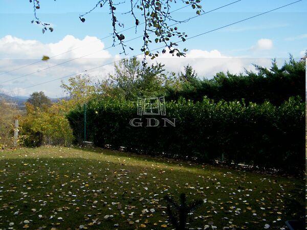 Tersánszky, Solymár képe