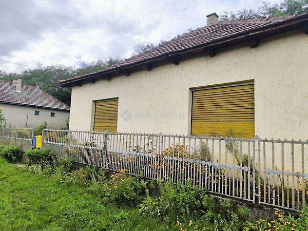 Ady Endre, Harsány képe