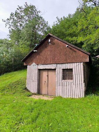 Ady Endre, Harsány képe