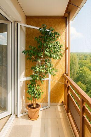 Nyírpalota, Budapest, XV. kerület képe