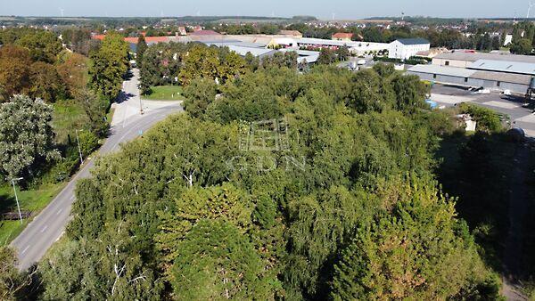 Tárkányi, Bábolna képe