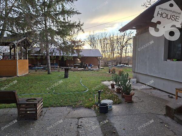 Kiskunfélegyháza képe