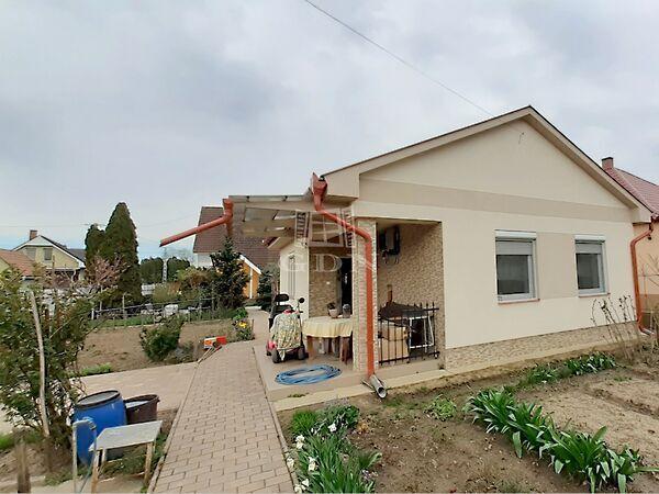 Császár Péter, Debrecen képe