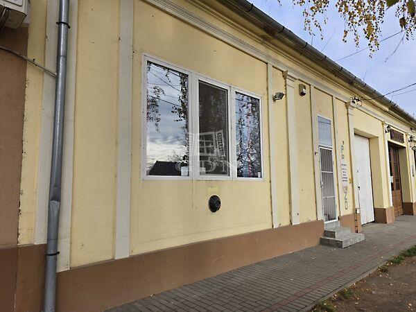 Szent István, Madaras képe