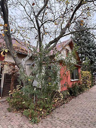 Vonyarcvashegy képe