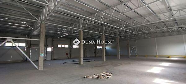 Nemeskéri, Göd képe