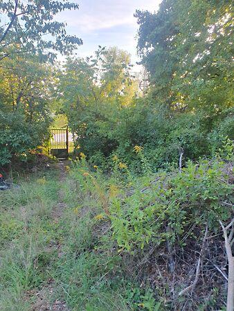 Kert utca 38, Budakeszi képe