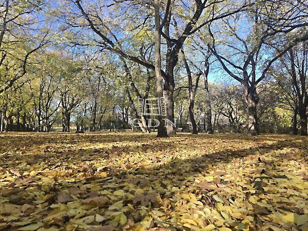 Füredi lakótelepen eladó, Budapest, XIV. kerület képe