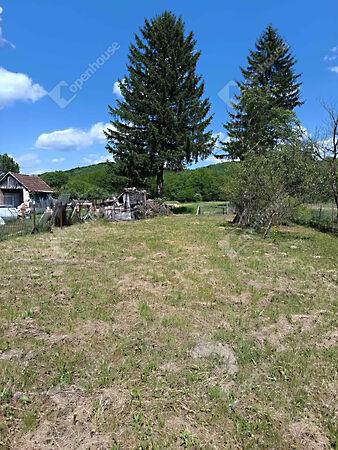 Deák Ferenc, Söjtör képe