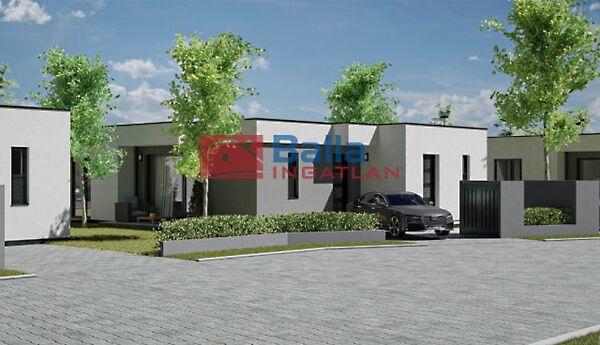 Géza fejedelem, Hatvan képe