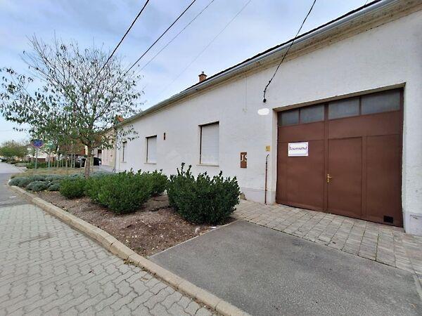 Baross Gábor, Villány képe