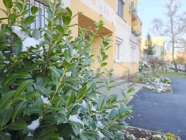 Csendes, Zalaegerszeg képe