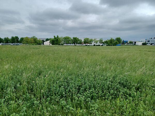 Győrújbarát képe