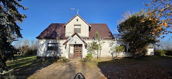 Kiskunfélegyháza képe