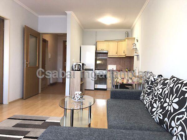 Andrássy, Békéscsaba képe