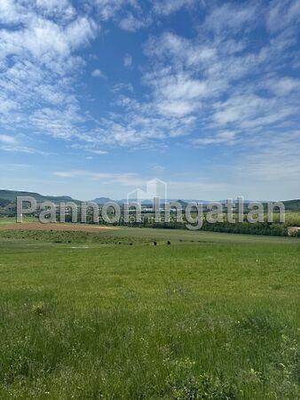 Monostorapáti képe