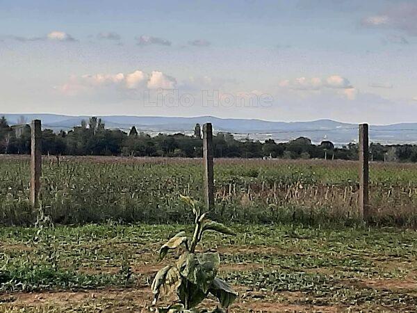 Balatonszárszó képe