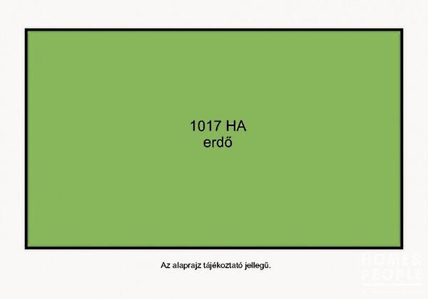 Balotaszállás képe